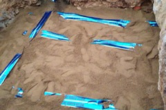 IMG_20200309_150708707_Original