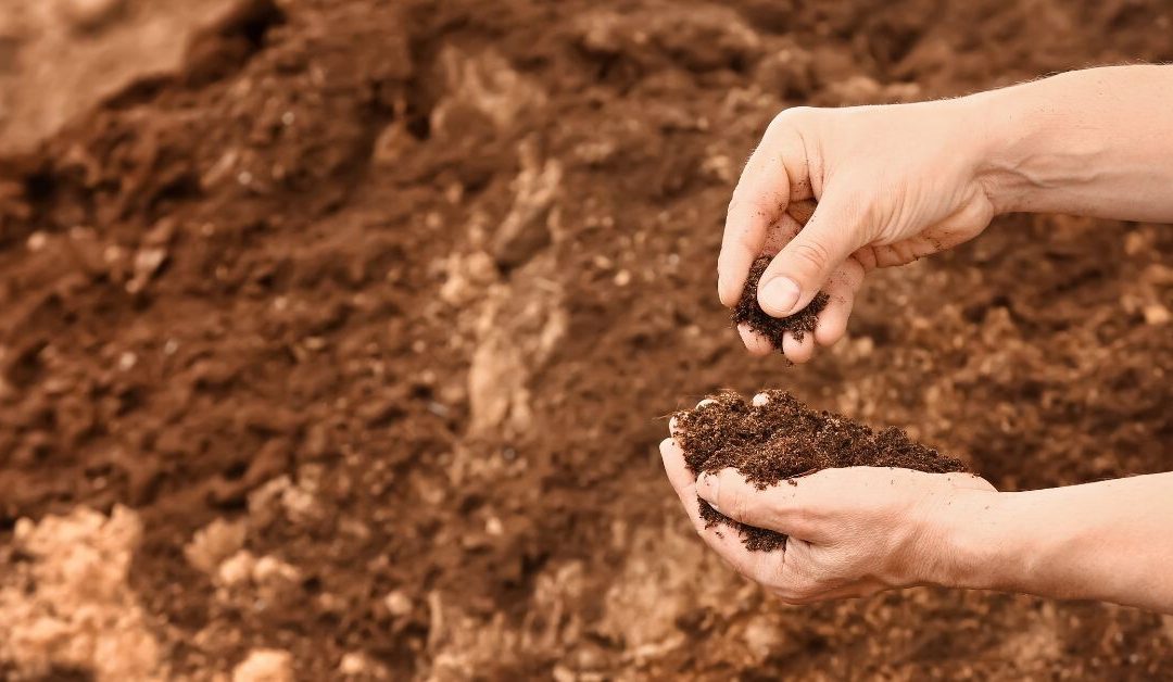 The Importance of Soil Testing Before Excavation